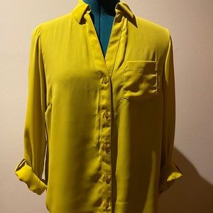 The Limited Ashton Blouse